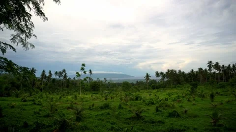Dense green rainforests high in the mountains, a view of the settlement, the Stock Footage 272507803