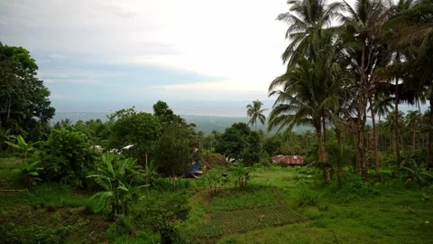 Dense green rainforests high in the mountains, a view of the settlement, the Stock Footage 272508967