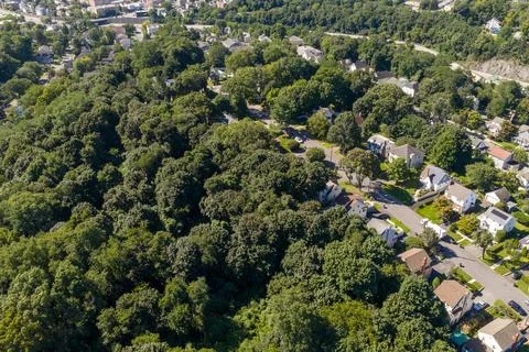 Dense green tree canopy across suburban White Plains in Westchester County, New 스톡 사진