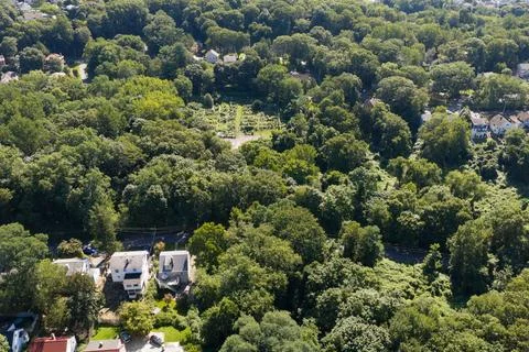 Dense green tree canopy across suburban White Plains in Westchester County, New Stockfoto's
