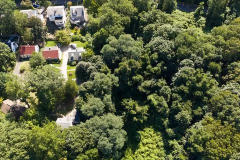 Dense green tree canopy across suburban White Plains in Westchester County, New Фото