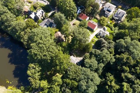 Dense green tree canopy across suburban White Plains in Westchester County, New 스톡 사진