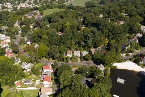 Dense green tree canopy across suburban White Plains in Westchester County, New 스톡 사진