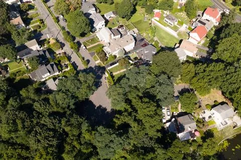 Dense green tree canopy across suburban White Plains in Westchester County, New Stock-Fotos