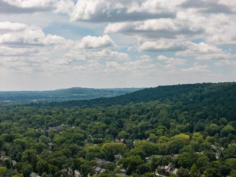 Dense green tree canopy across suburban White Plains in Westchester County, New Stock Photos