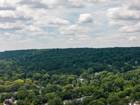 Dense green tree canopy across suburban White Plains in Westchester County, New Stock-Fotos