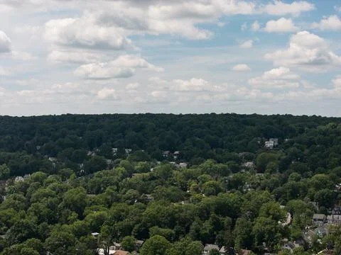 Dense green tree canopy across suburban White Plains in Westchester County, New 写真素材