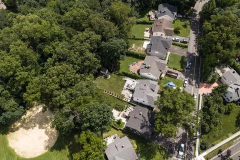 Dense green tree canopy across suburban White Plains in Westchester County, New Stock-Fotos
