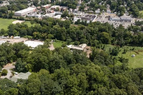 Dense green tree canopy across suburban White Plains in Westchester County, New 스톡 사진