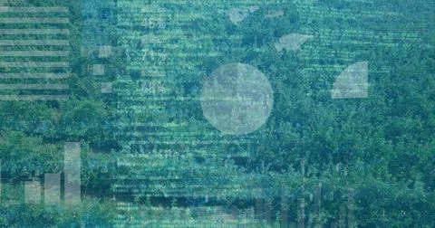 Dense green tree canopy blending in aerial view, with bar charts, line graphs, Foto stock