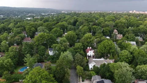 Dense green tree canopy covers colonial homes and backyard swimming pool in Stock-Footage 341842567