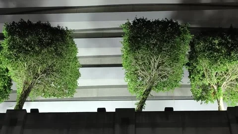 Dense green trees illuminated by artificial lights 스톡 동영상 340327643