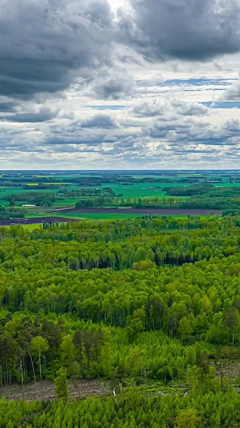 Dense green woodland and patchwork fields below clouds, vertical aerial time Stock Footage 348344003