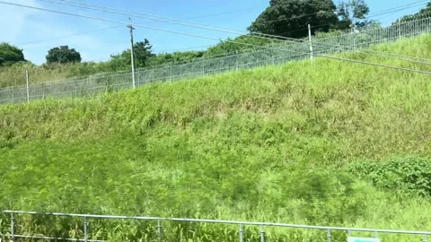 Dense Greenery Passing by a Taiwanese High-Speed Rail Window Stock Footage 341751321