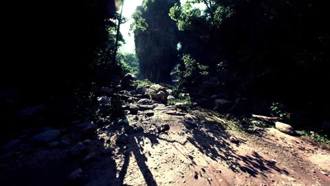 Dense greenery surrounds a rocky path in Vietnam during midday sunlight Видео 304508882
