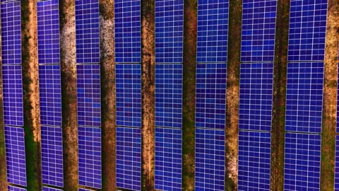 Dense grid of solar panels covering farmland, Bulgaria Vídeos de archivo 341760095