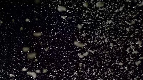 A dense heavy blizzard snowstorm VFX insert in slow-motion on black screen. Stock Footage 301896192