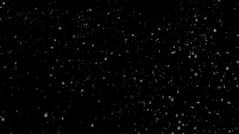 A dense heavy blizzard snowstorm VFX insert in slow-motion on black screen. Stock Footage 303661952