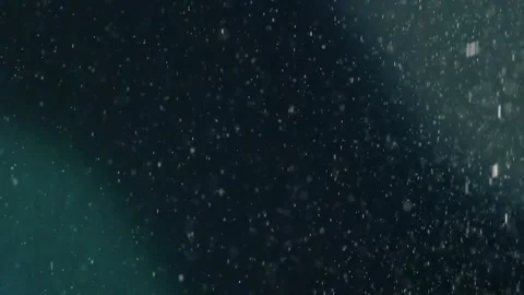 A dense heavy blizzard snowstorm VFX insert in slow-motion on black screen. Stock Footage 303662020