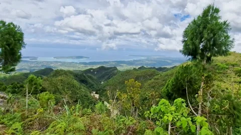 Dense Hill Forest with Dramatic Sky Framing Island Bay Stock Footage 318241938