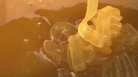 Dense Honey HD Stock Footage 32482527