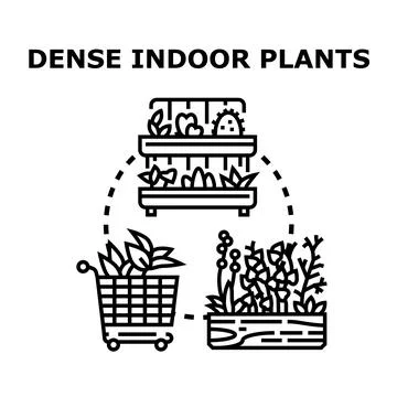 Dense indoor plants concept with various garden elements Stock Illustration