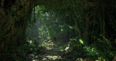 Dense jungle path illuminated by sunlight filtering through the trees Illustrazione stock