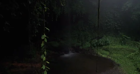 Dense jungle, a wall of greenery and a waterfall shot using a drone Stock Footage 327907106