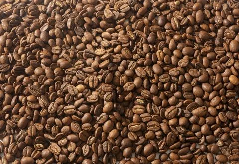 A dense layer of roasted coffee beans covers the entire horizontal frame in.. 库存照片