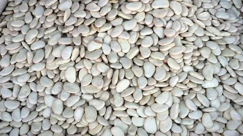 Dense layer of small, pale white dried beans filling the entire frame. Fotos Stock