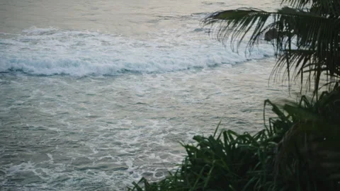 Dense leaves of coconut palm tree, swaying in wind over dark moody sea, fast Stock Footage 246462866