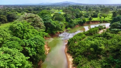 Dense mangrove forest. The blue sky reflects in the calm water. Vidéo 329467465