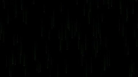 Dense matrix binary code rain on black background tech overlay 4K Stock Footage 336486218