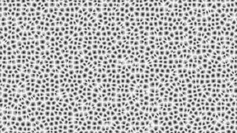 Dense Microscopic Bacterial Cell Grid Texture Loop Stock Footage 342344748