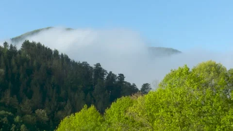 Dense mountain forest and low clouds rolling across the valley hanging white Stock Footage 342842785