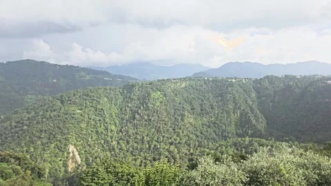 Dense Mountain Forest Landscape Stock Footage 317350783