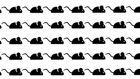 Dense Mouse Icons Wallpaper Pattern 스톡 동영상 336838282