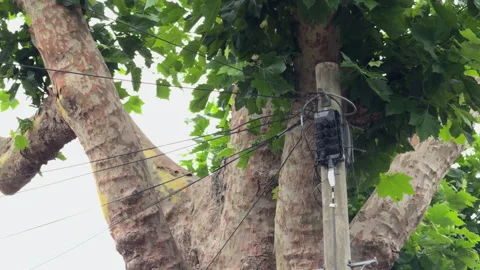 Dense network of overhead cables distributing electricity in English city suburb Vídeo Stock 314794231