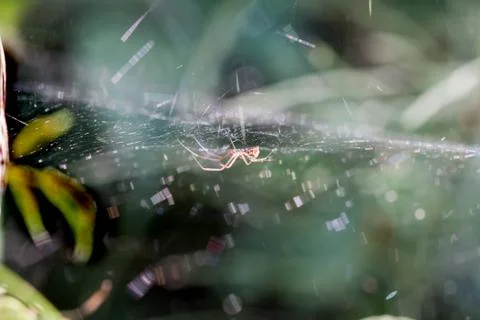 Dense network Foto stock