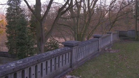 Dense Old Wood is Located Behind a Stone Fence Stock Footage 73498965