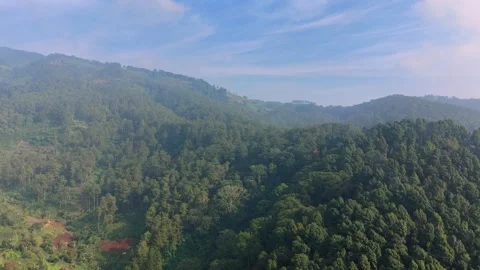 Dense Pine Forest Covering Rolling Mountain Slopes Aerial View 스톡 동영상 340633667