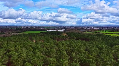 Dense pine forest extending to rural town wide aerial vastness Stock-Footage 333424069