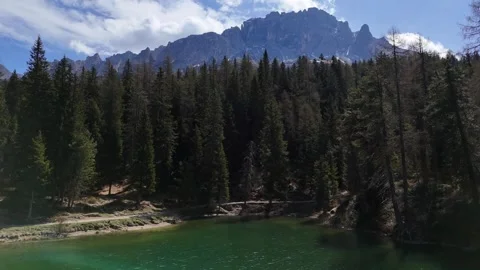 Dense Pine Forest Shoreline Along Clear Alpine Waters Stock Footage 341465587