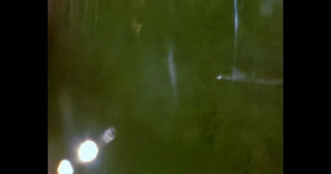 Dense pine forest on the slope, Shaky shot Vídeo Stock 303060148