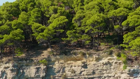 Dense pine trees growing atop a rugged limestone cliff on Alonnisos island Stock Footage 346700240