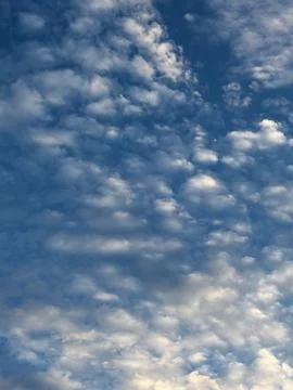 Dense Puffy Cloud Texture Filling Blue Sky Stock-Fotos