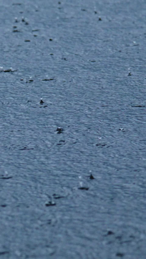 Dense raindrops fall on smooth, dark pavement Stock Footage 346339822
