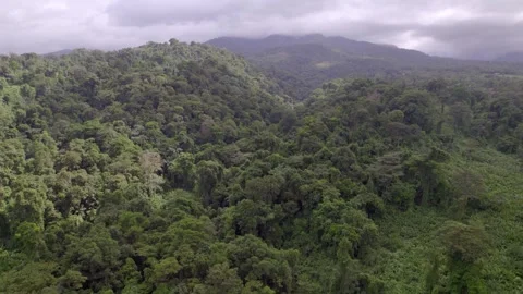 Dense rainforest covers rolling hills near La Fortuna beneath low clouds Vídeo Stock 345631429