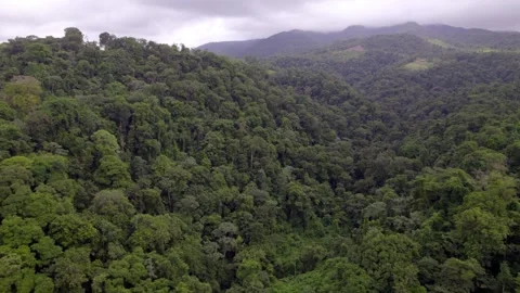 Dense rainforest covers steep green hills near La Fortuna beneath clouds Vídeo Stock 345631369