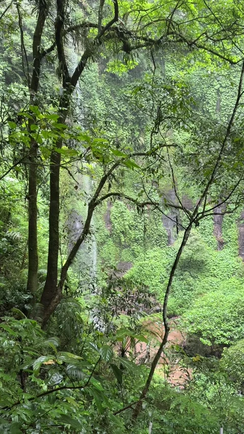 Dense Rainforest Waterfall, Camera Pans Right Through Lush Greenery, Vertical Sh Stock-Footage 324083789